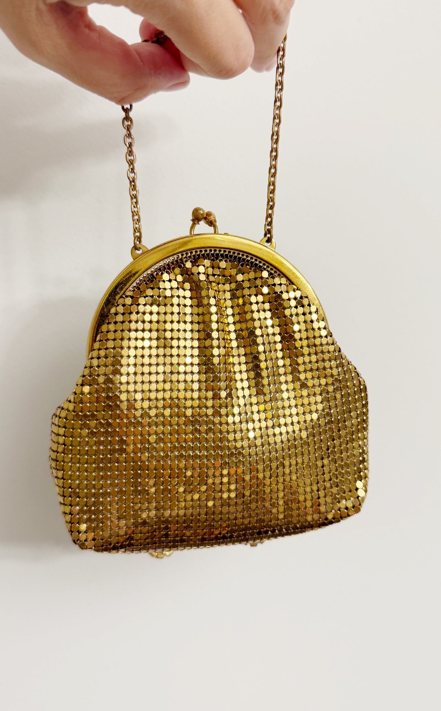 Ode to the master crybaby edition gold mesh purse