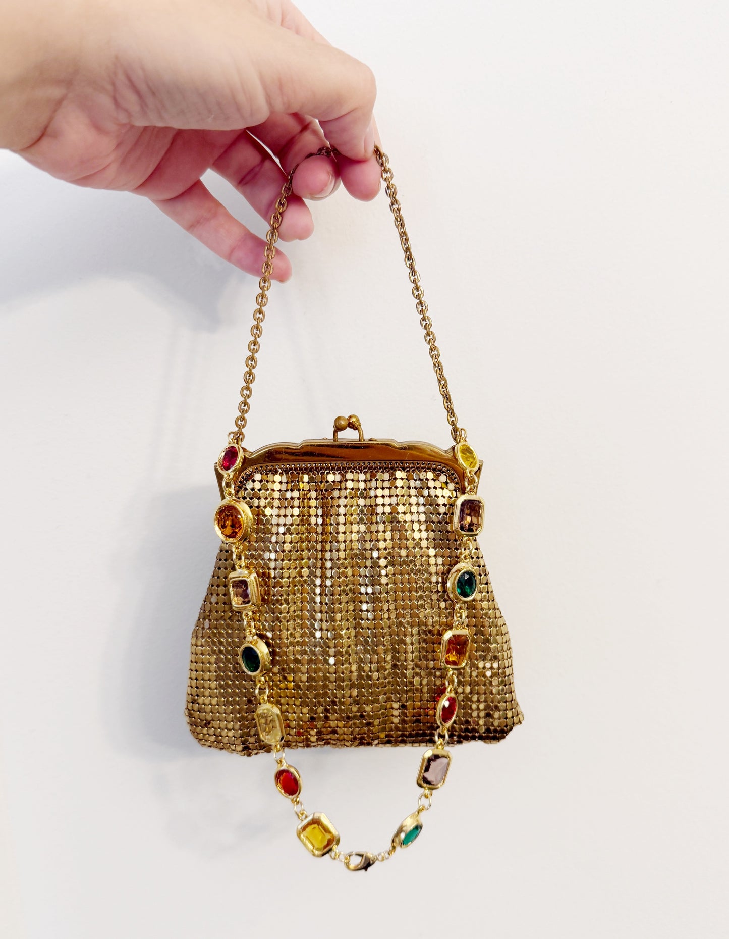 Ode to the master mini mesh purse necklace & belt