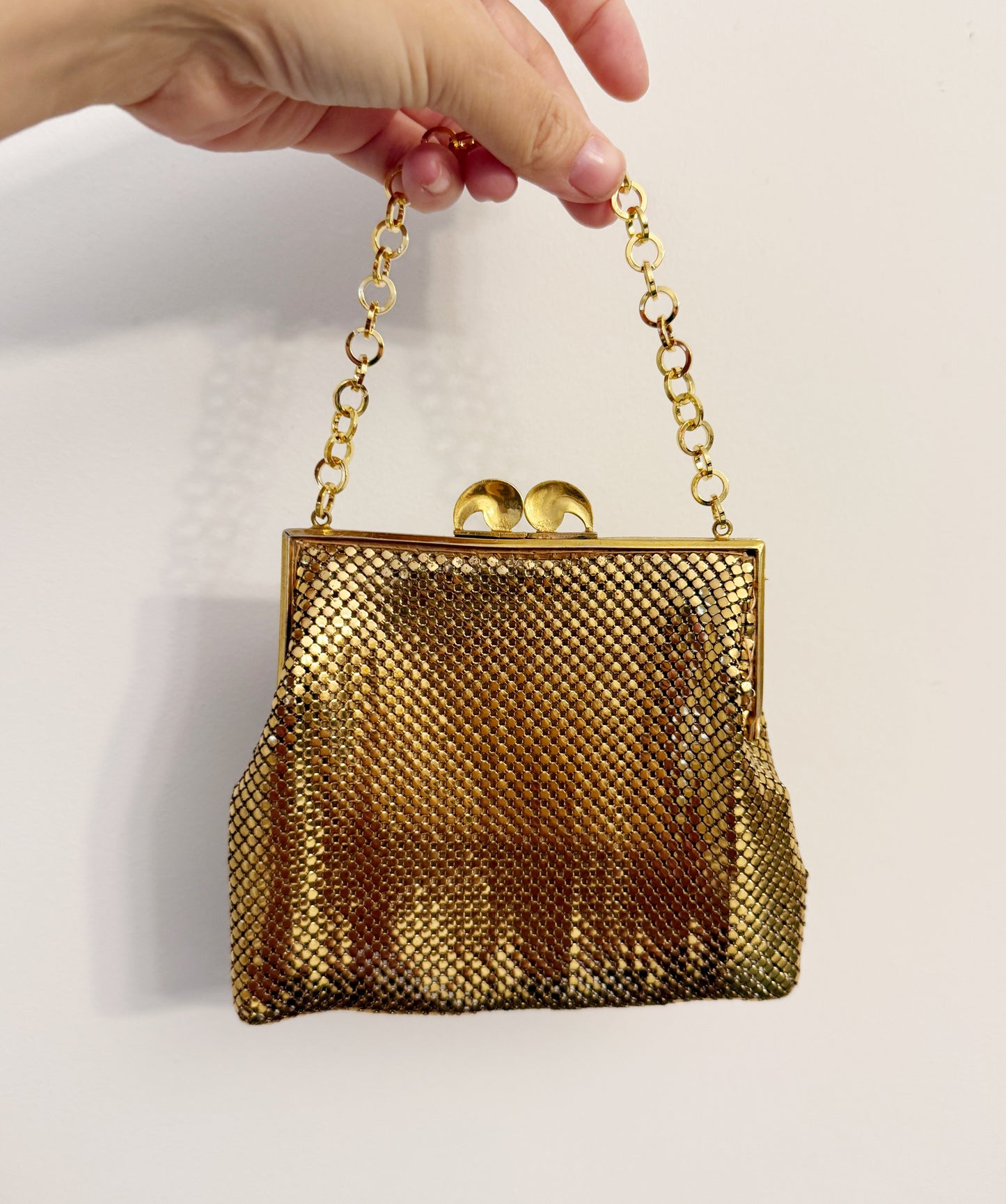 Ode to the masters gold mesh purse