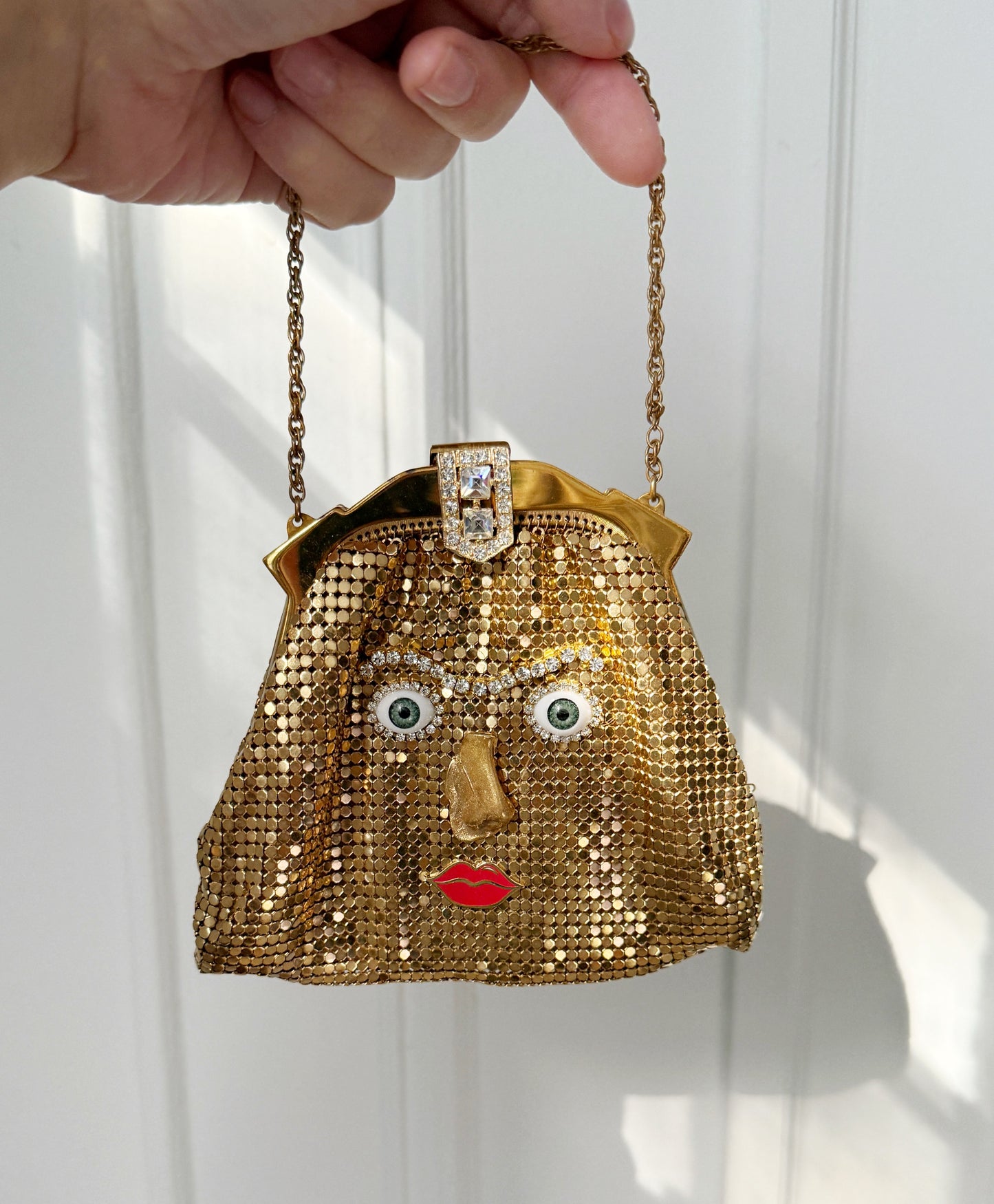 Ode to the master mini mesh purse belt