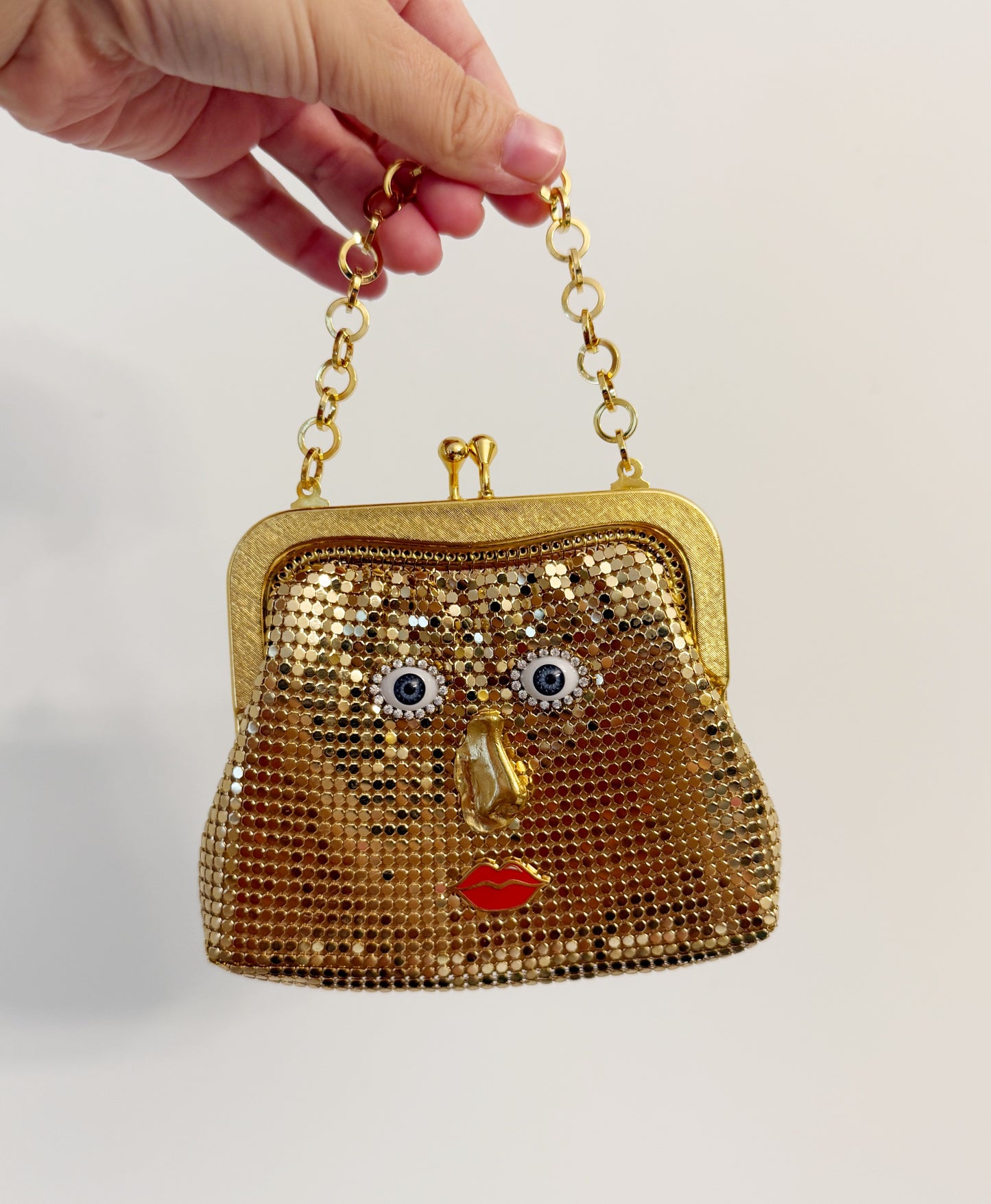 Ode to the master mini mesh purse & belt
