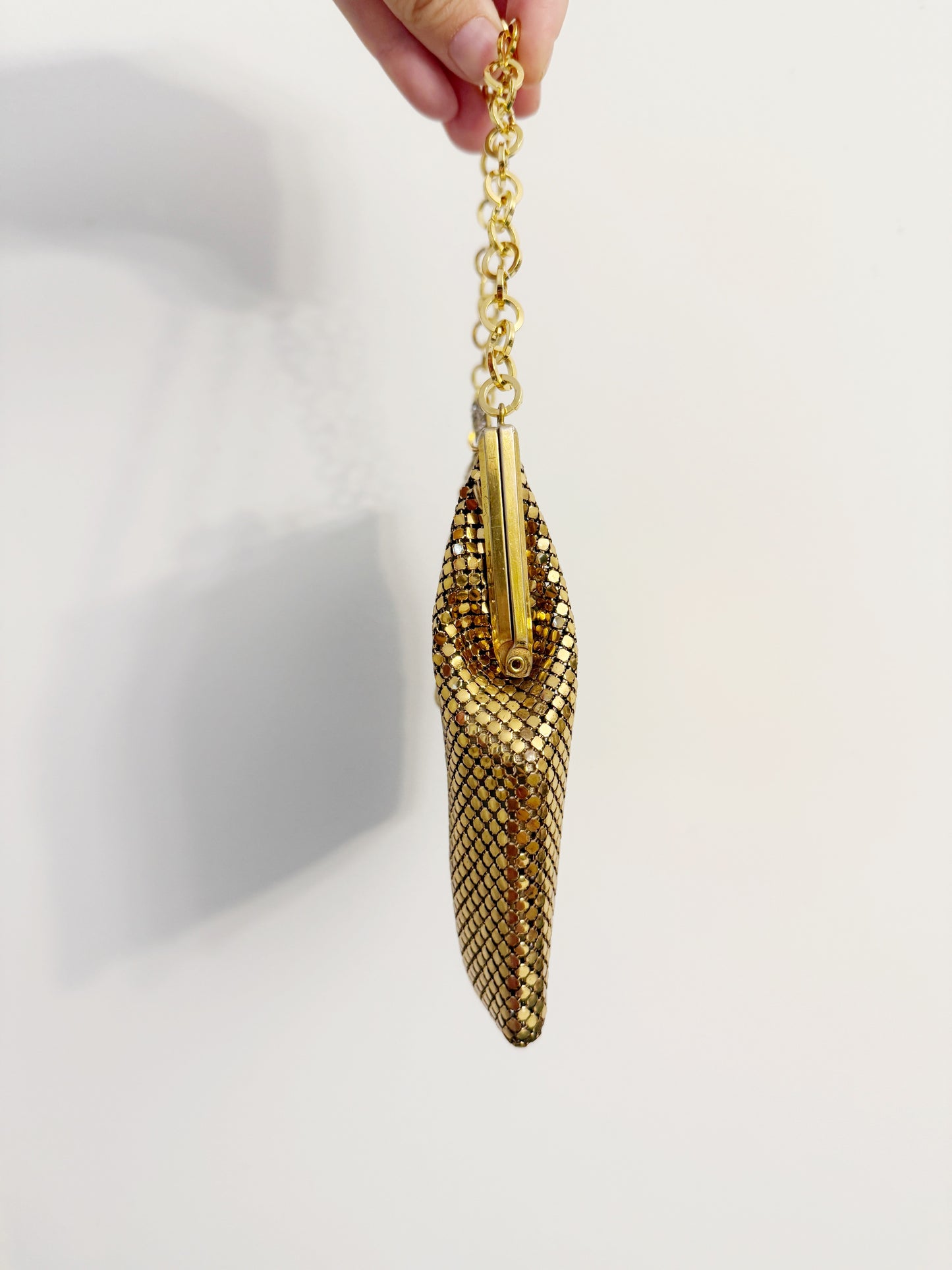 Ode to the masters gold mesh purse